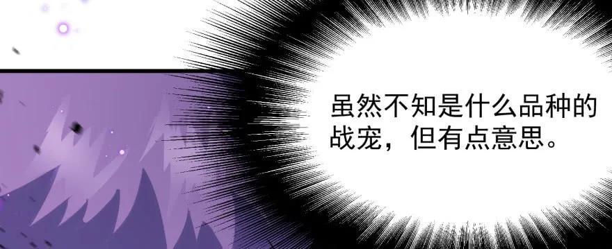 166助阵74