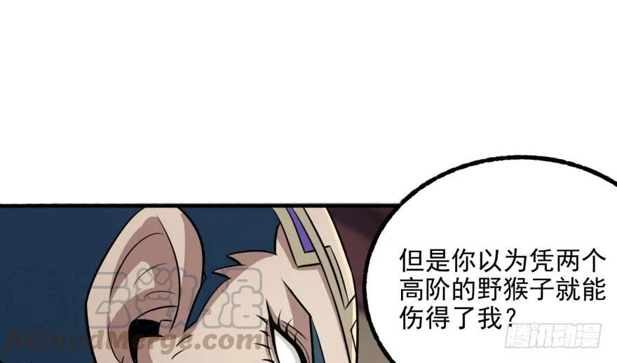 119野猴子5