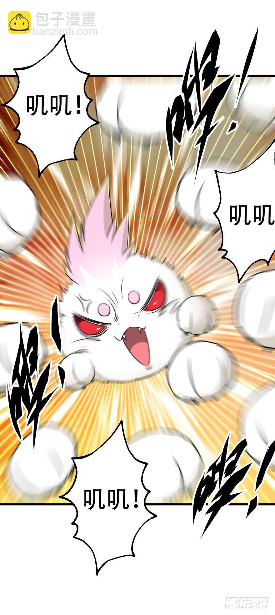 009小雪球VS闪电魔纹貂21