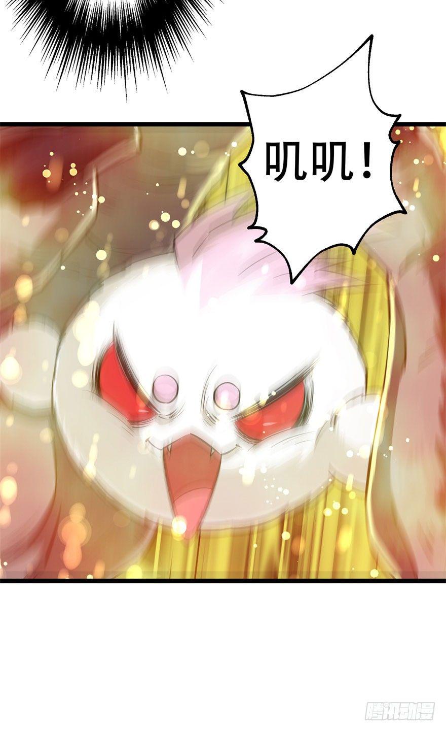 015小雪球VS小鬼猴王11