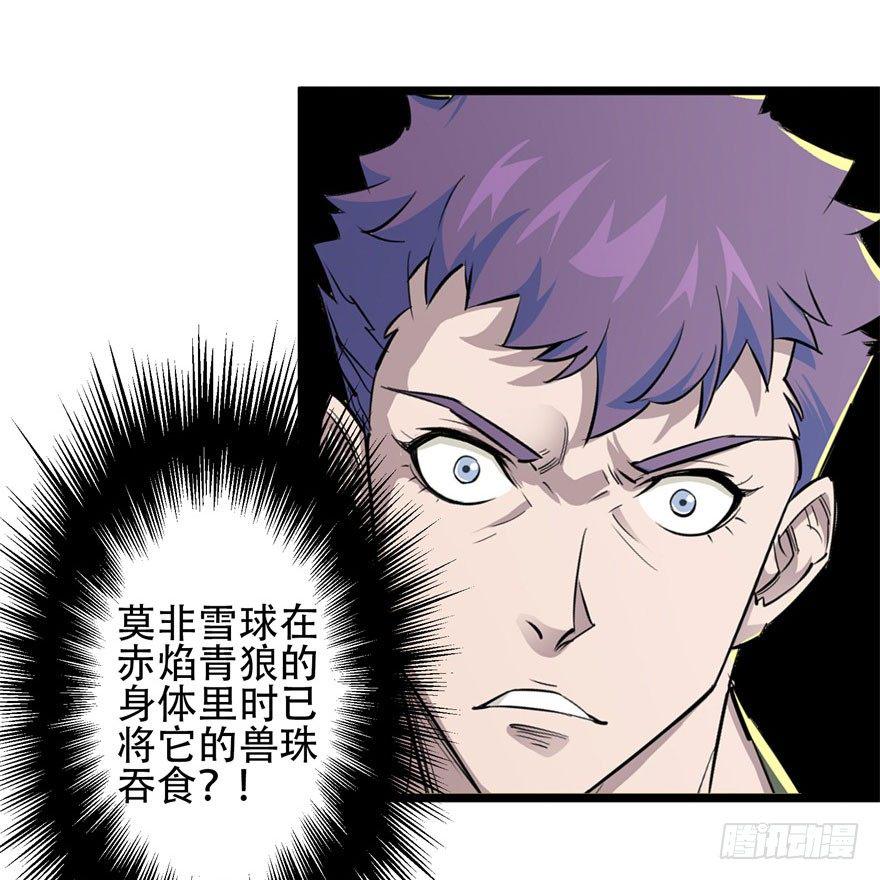 015小雪球VS小鬼猴王10