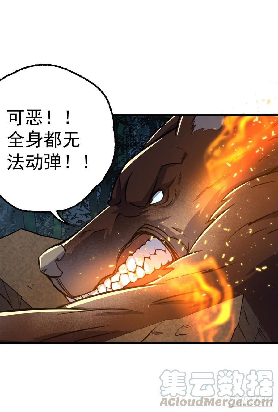 195美味熊掌52