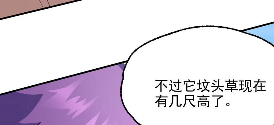 092斗兽124