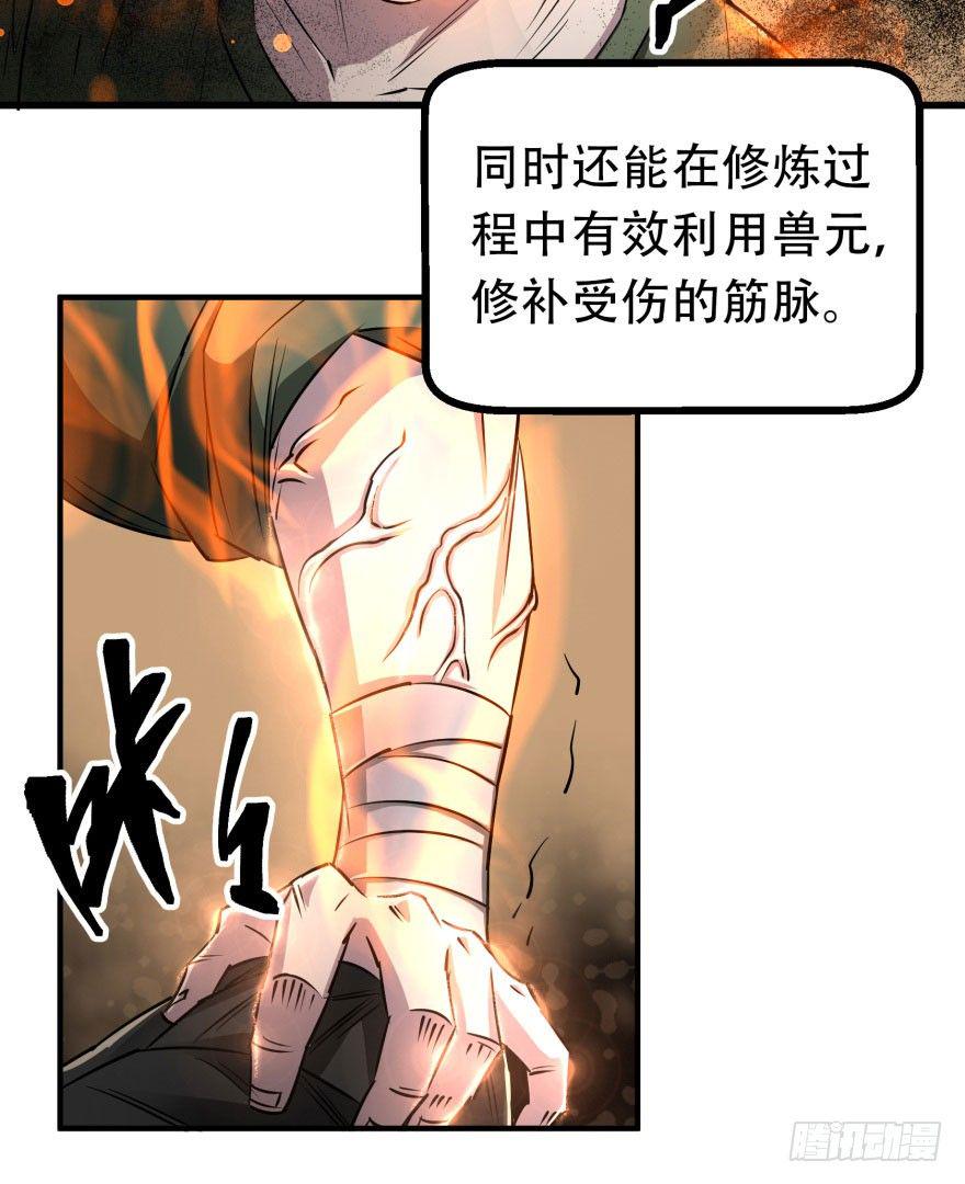 017炼化兽元11