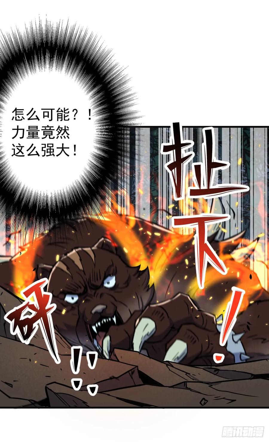 195美味熊掌51