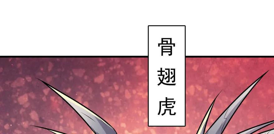 092斗兽72
