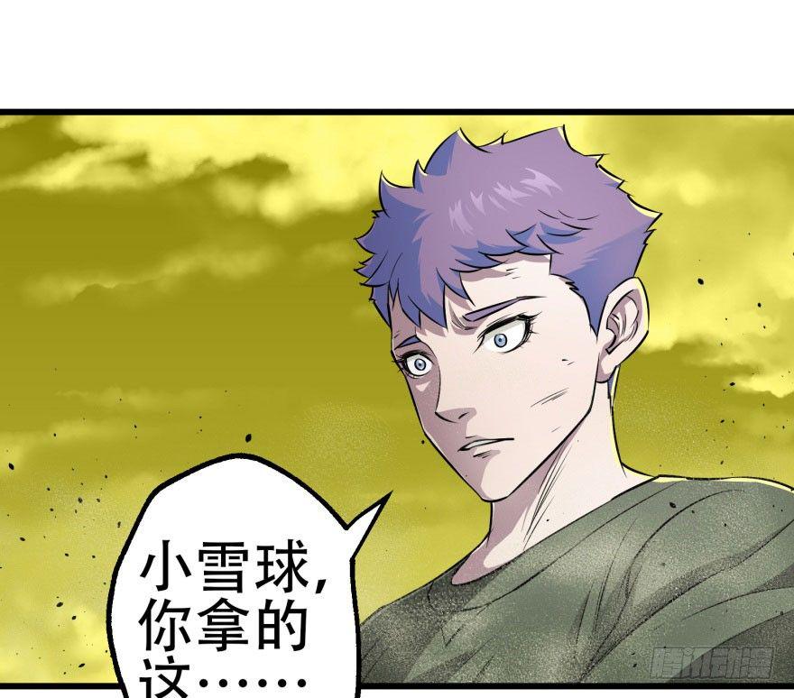 015小雪球VS小鬼猴王36