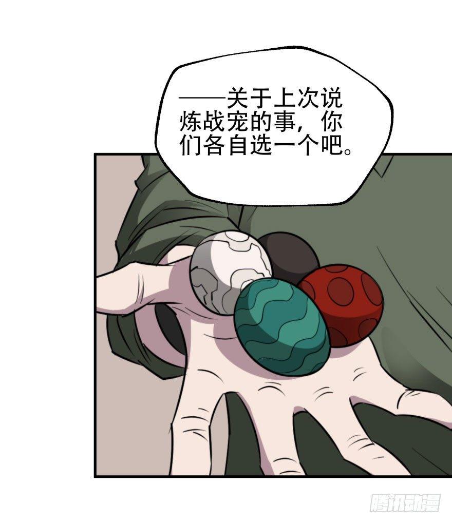 022炼化兽蛋27