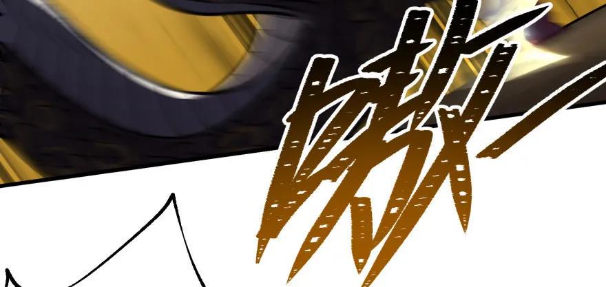 092斗兽101