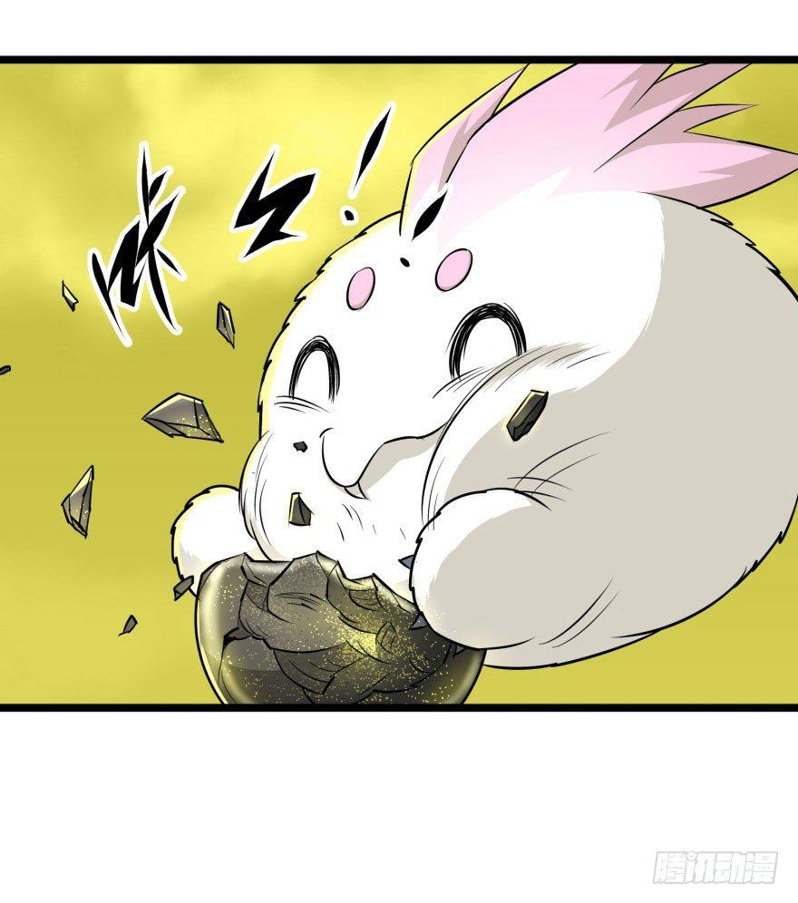 015小雪球VS小鬼猴王20