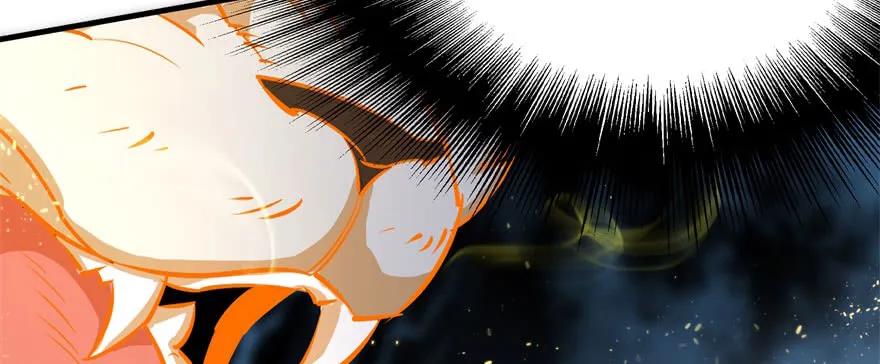 146虎煞139