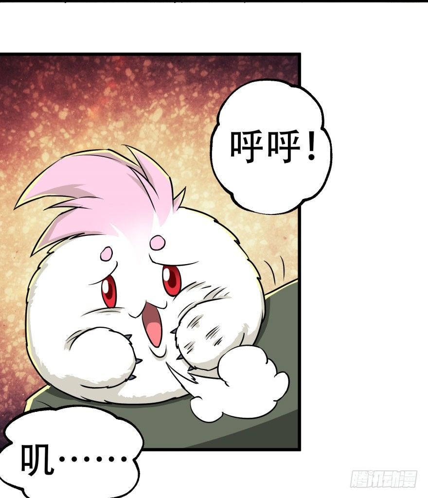 009小雪球VS闪电魔纹貂30