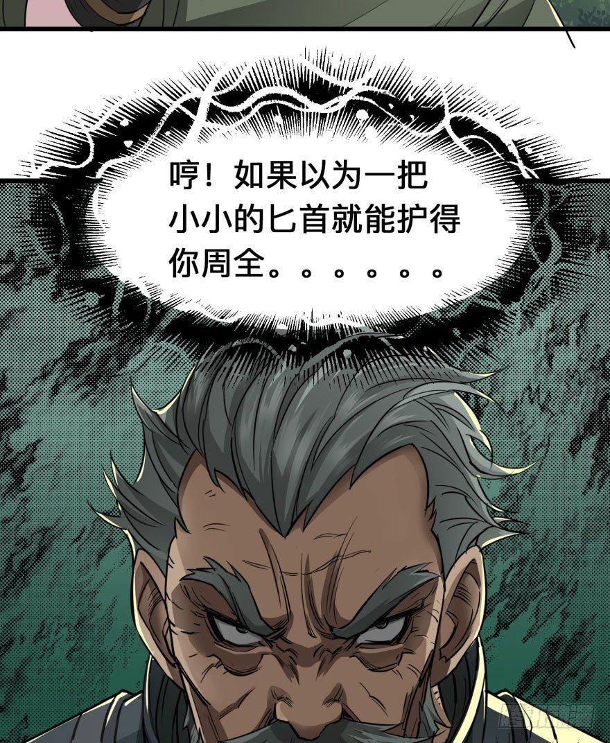 007闪电魔纹貂45