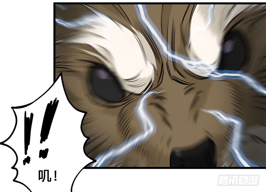 007闪电魔纹貂35