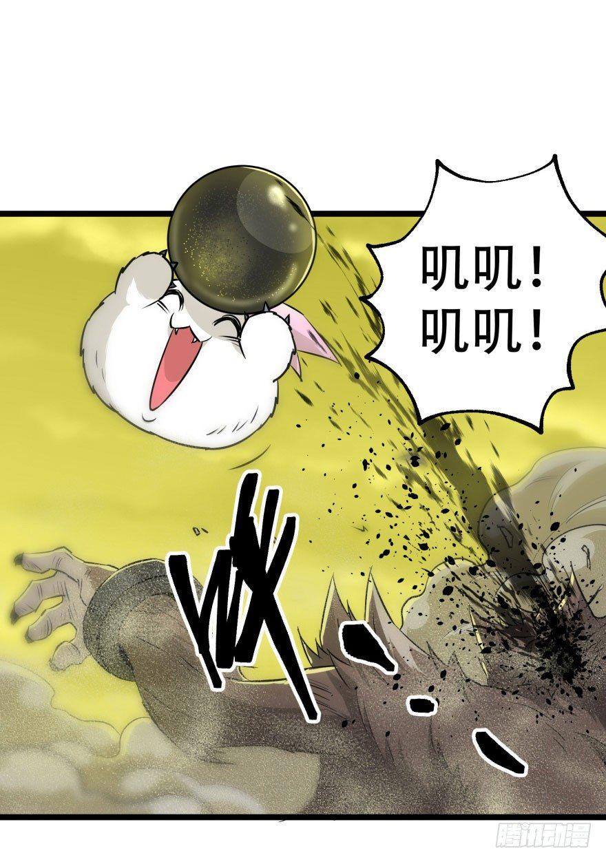 015小雪球VS小鬼猴王19
