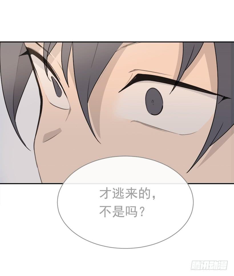 徘徊于世间51