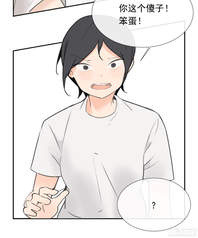 电视报导46