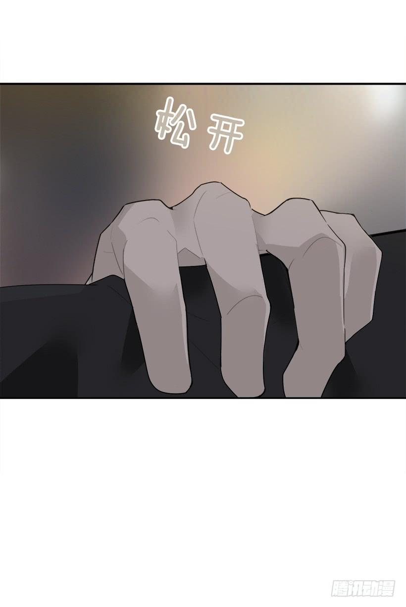 暗中保护12