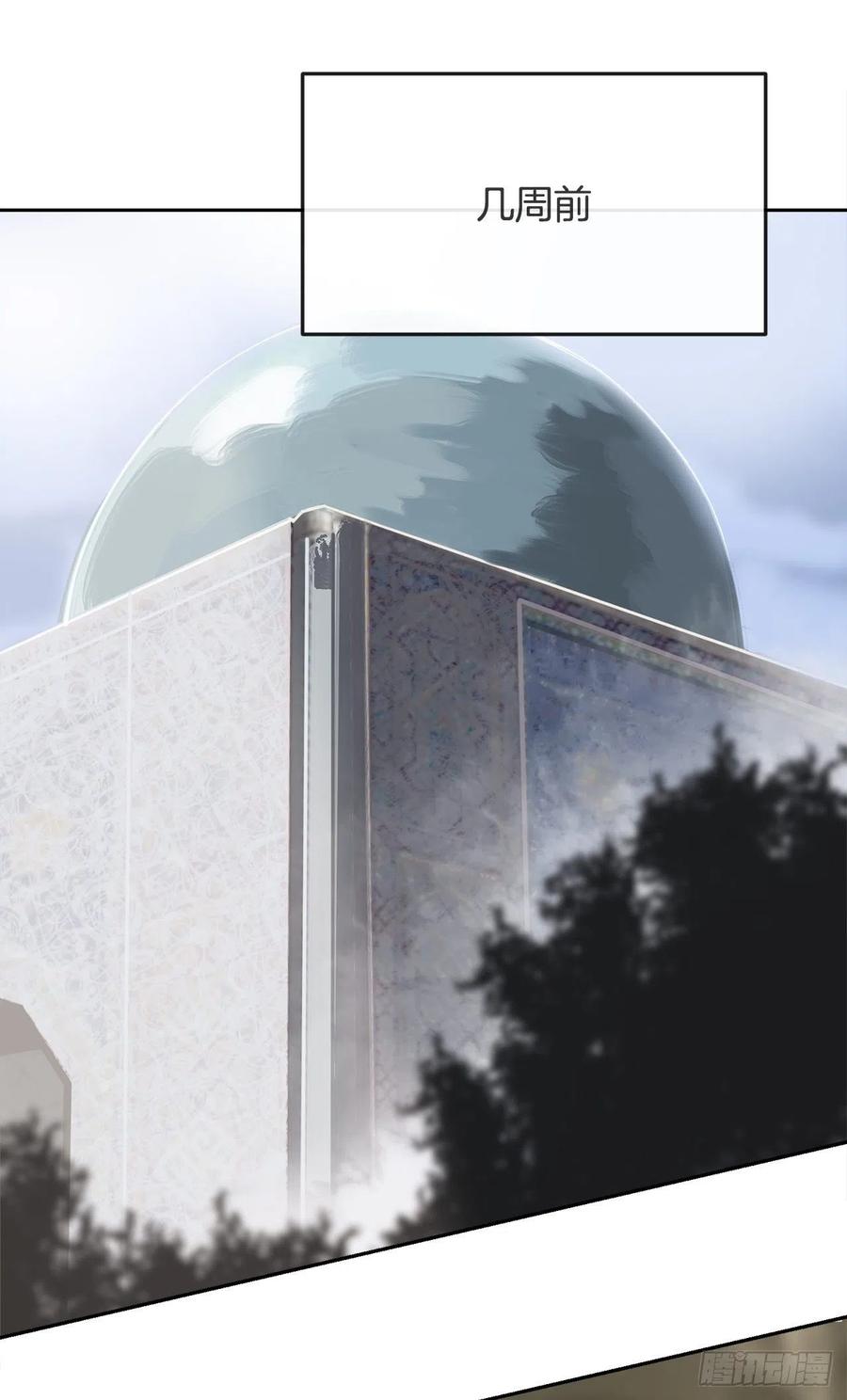 437.瓦济尔2