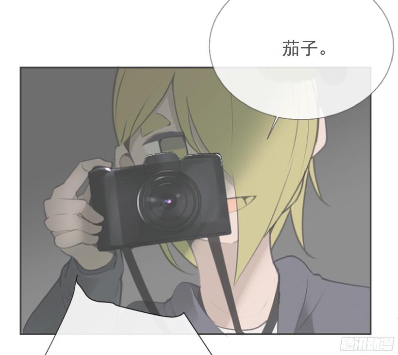 电视报导41