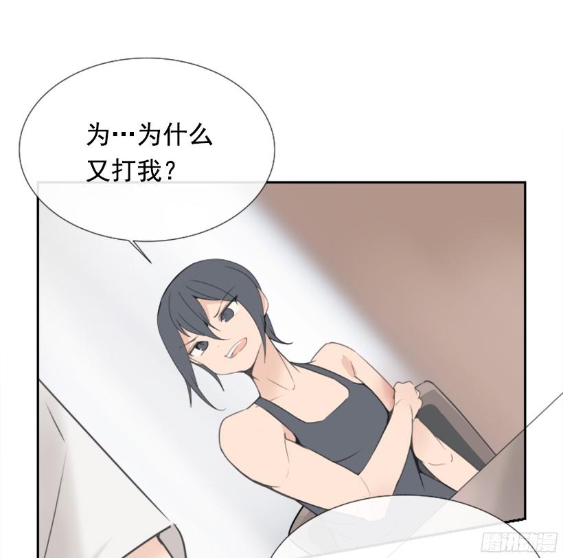 电视报导45