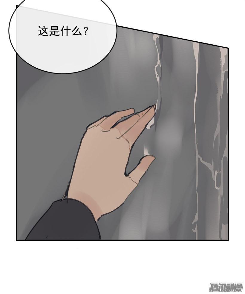 探路24