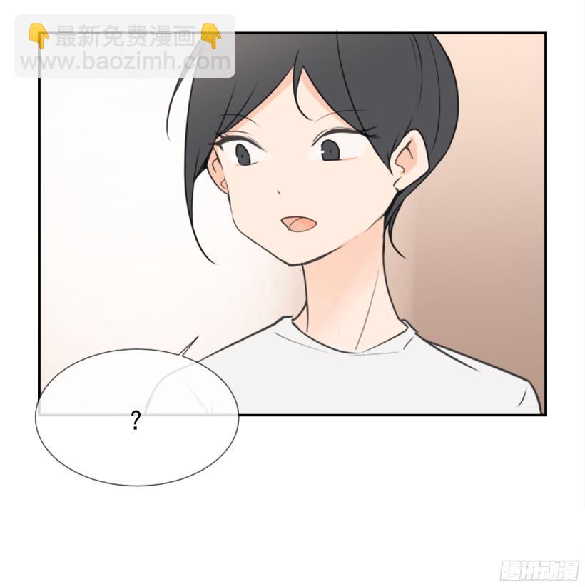 电视报导13