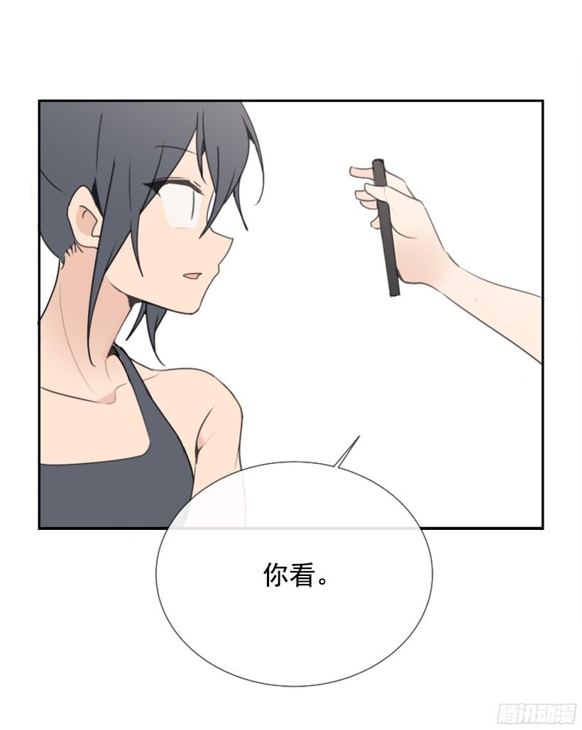 电视报导49