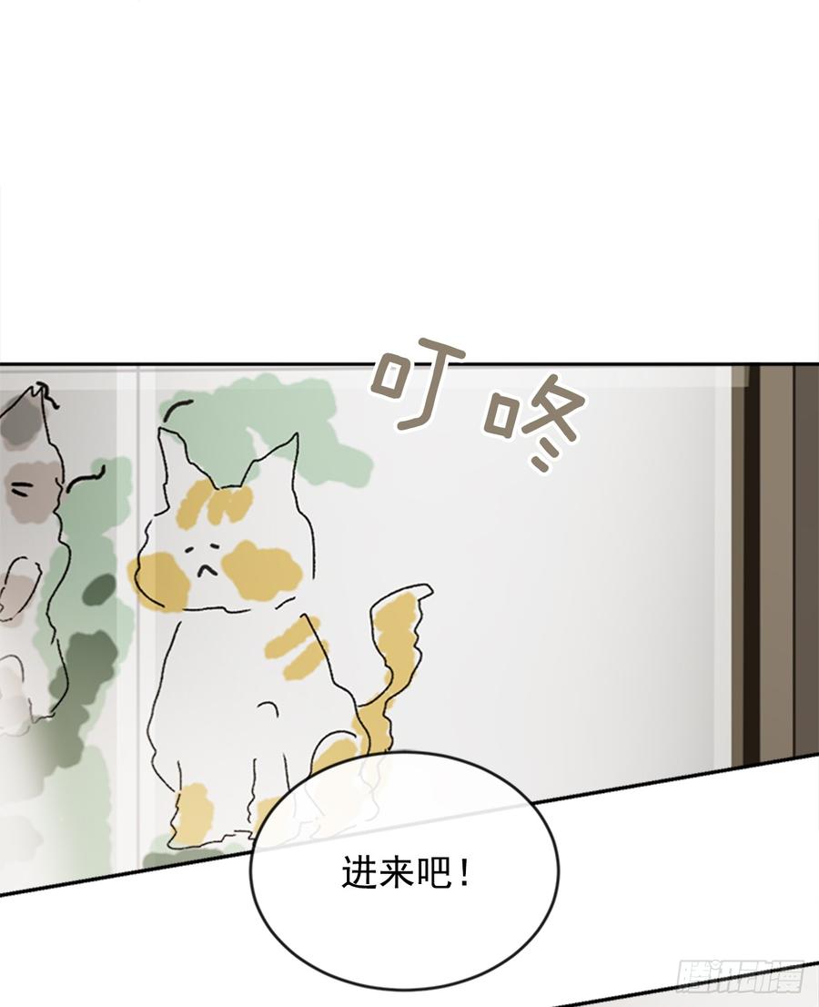 两厢分别29