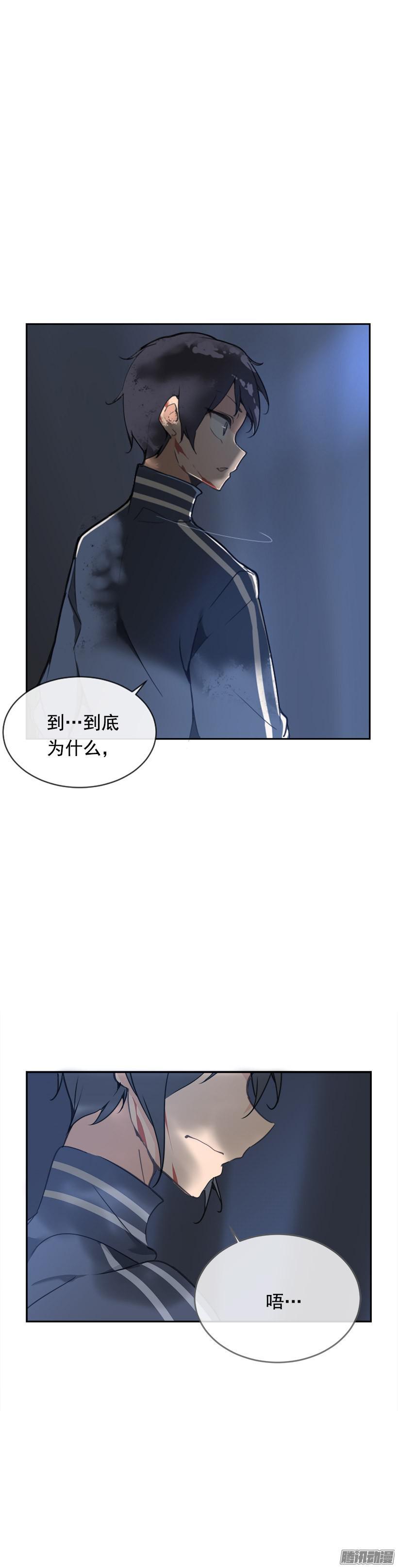 保护5
