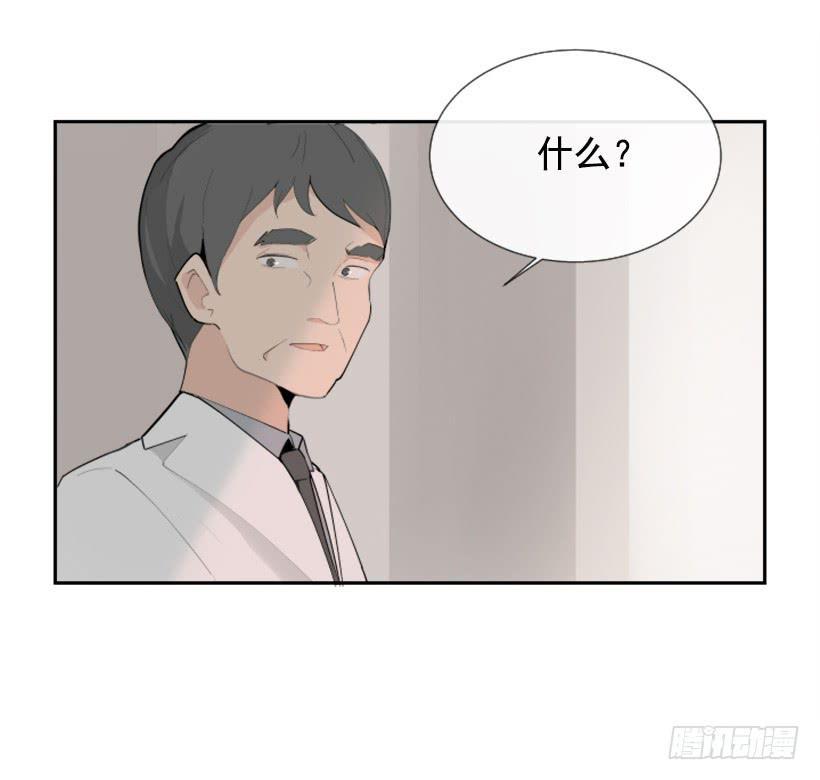 豪车接送43