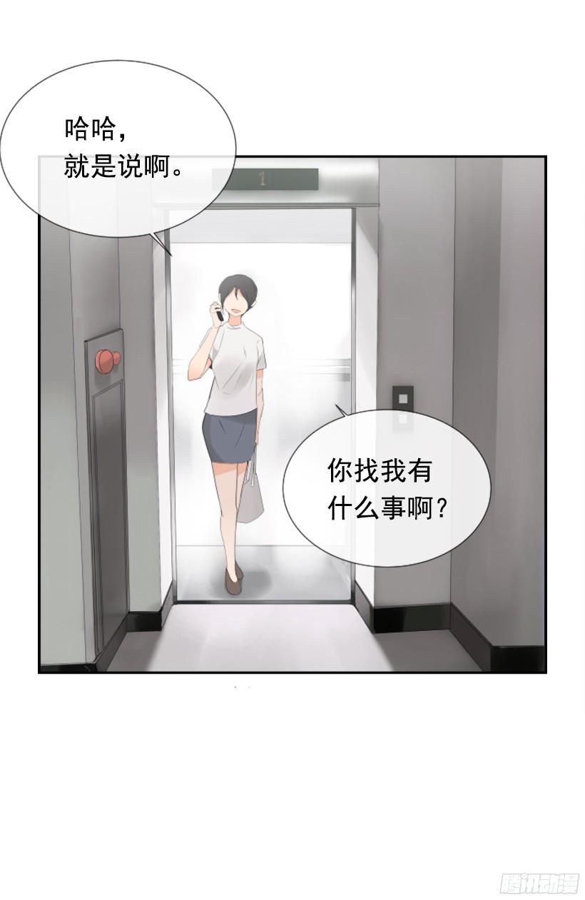电视报导6