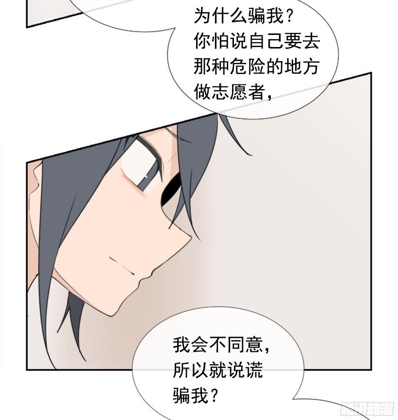 电视报导31