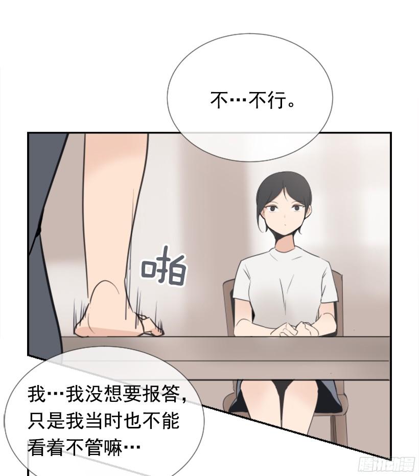 电视报导55