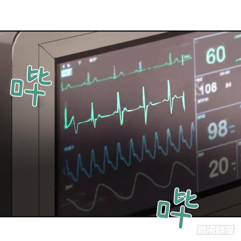 豪车接送34