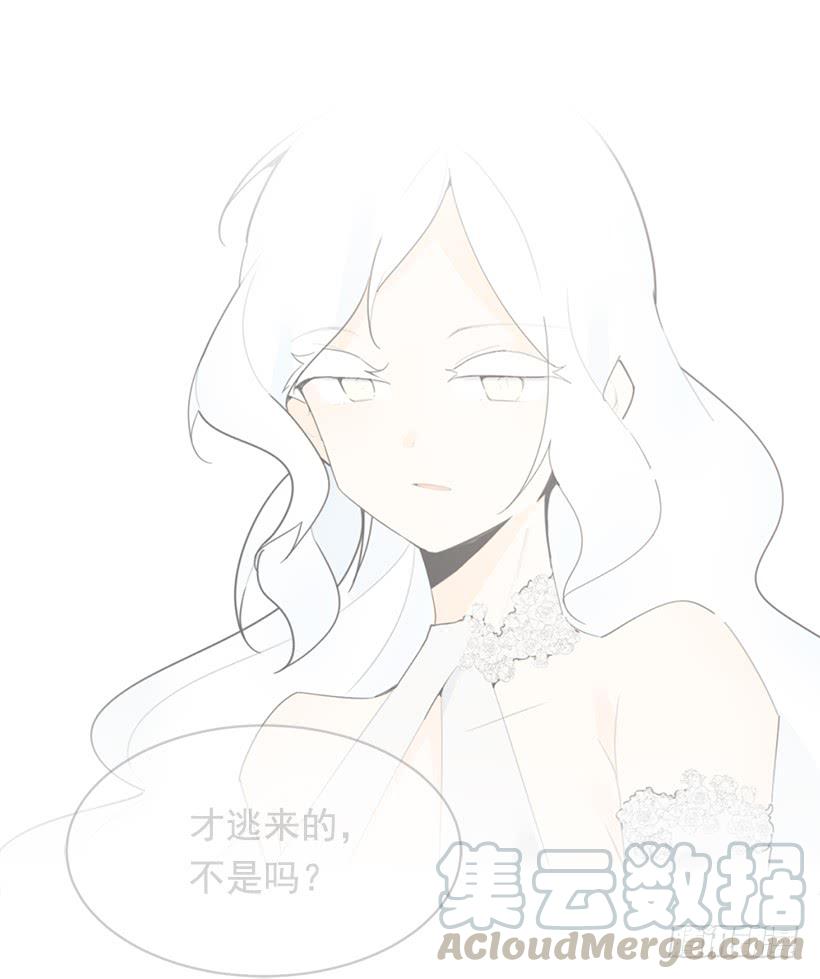 徘徊于世间56
