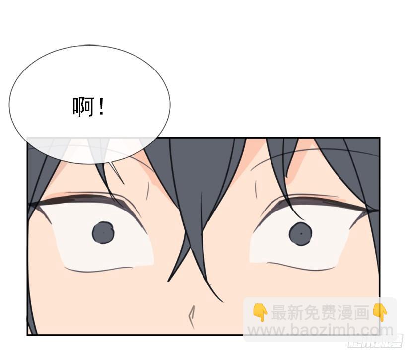 电视报导39