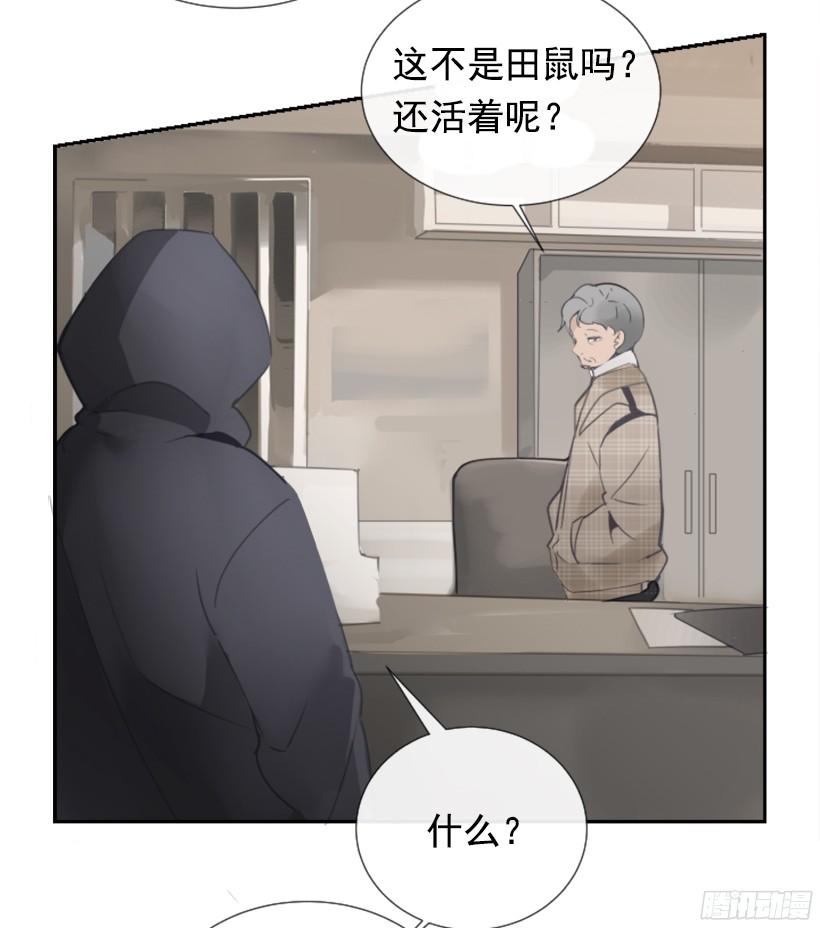 钱包被偷18