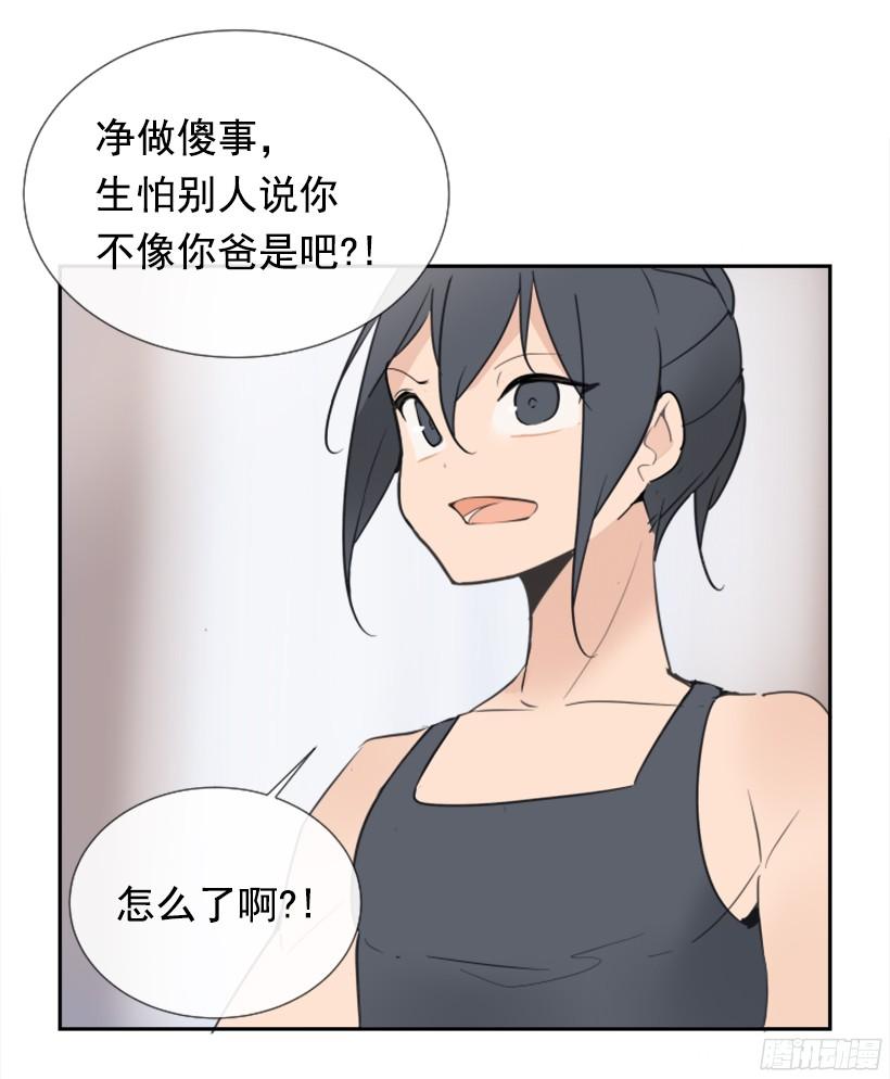 电视报导47