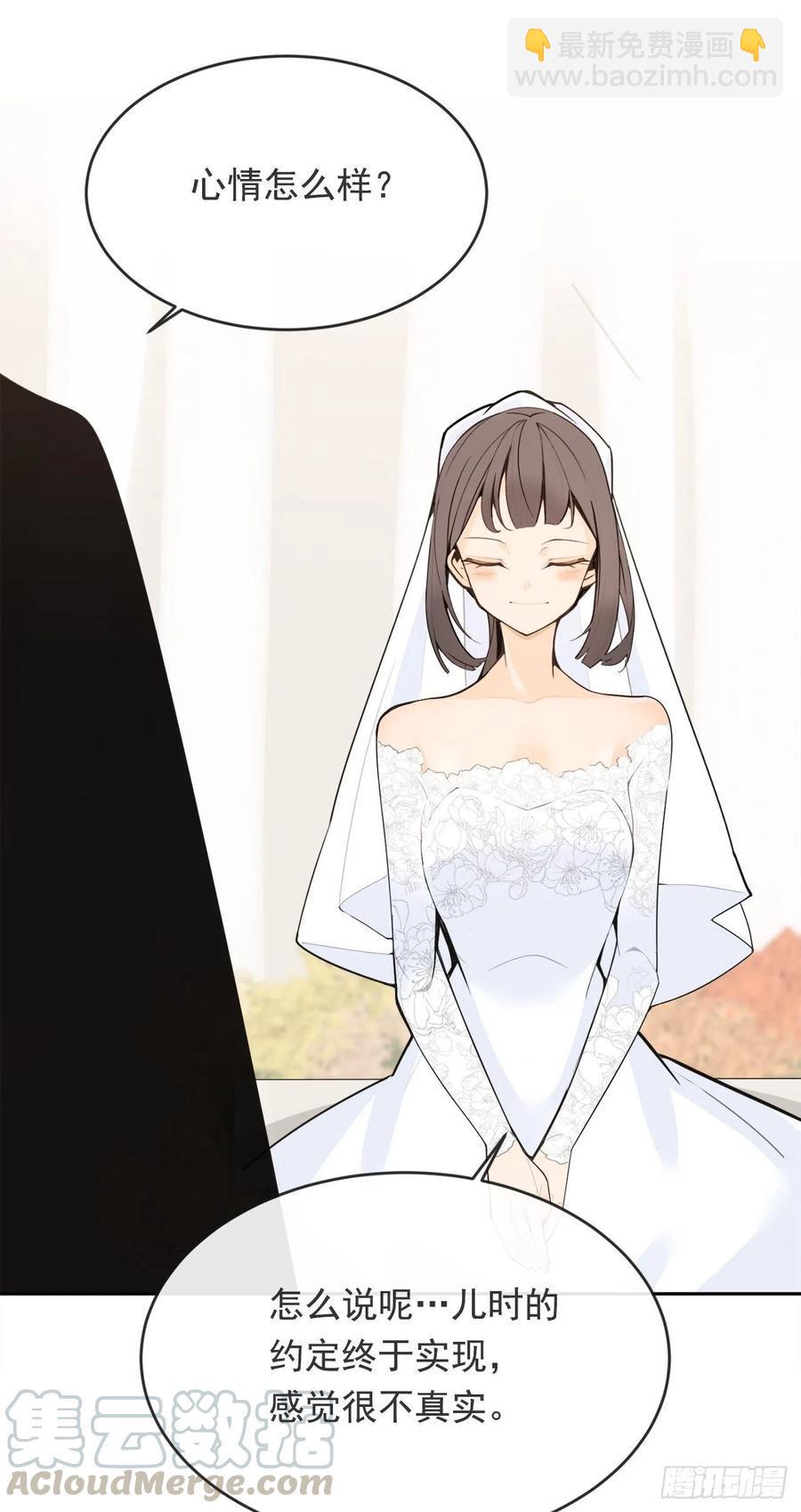 他们的婚礼28