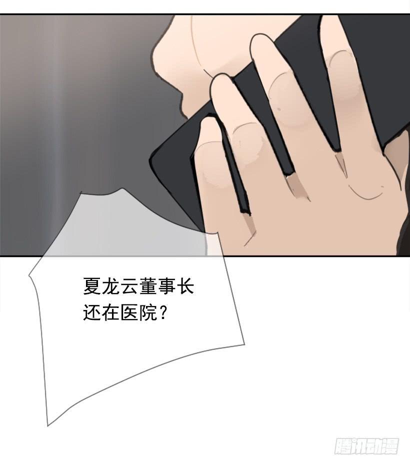 豪车接送63
