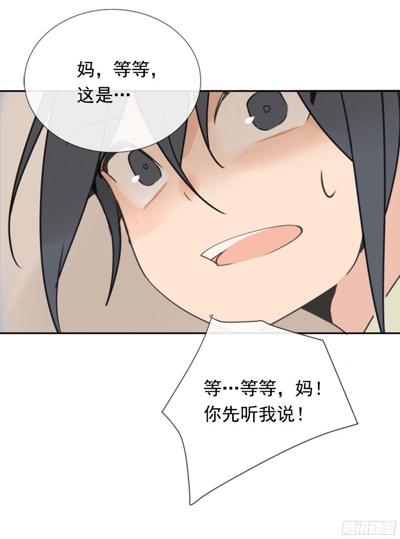 电视报导24