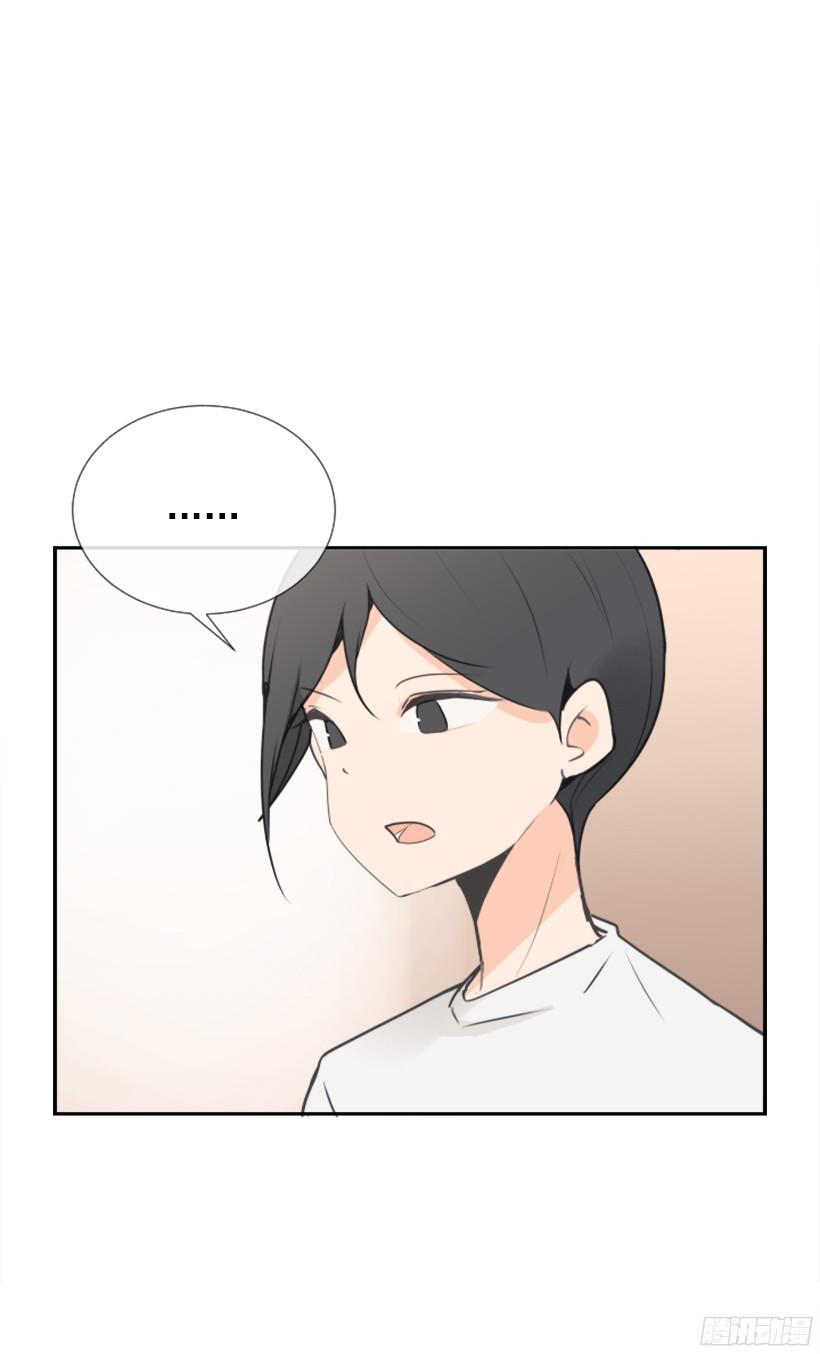 电视报导15