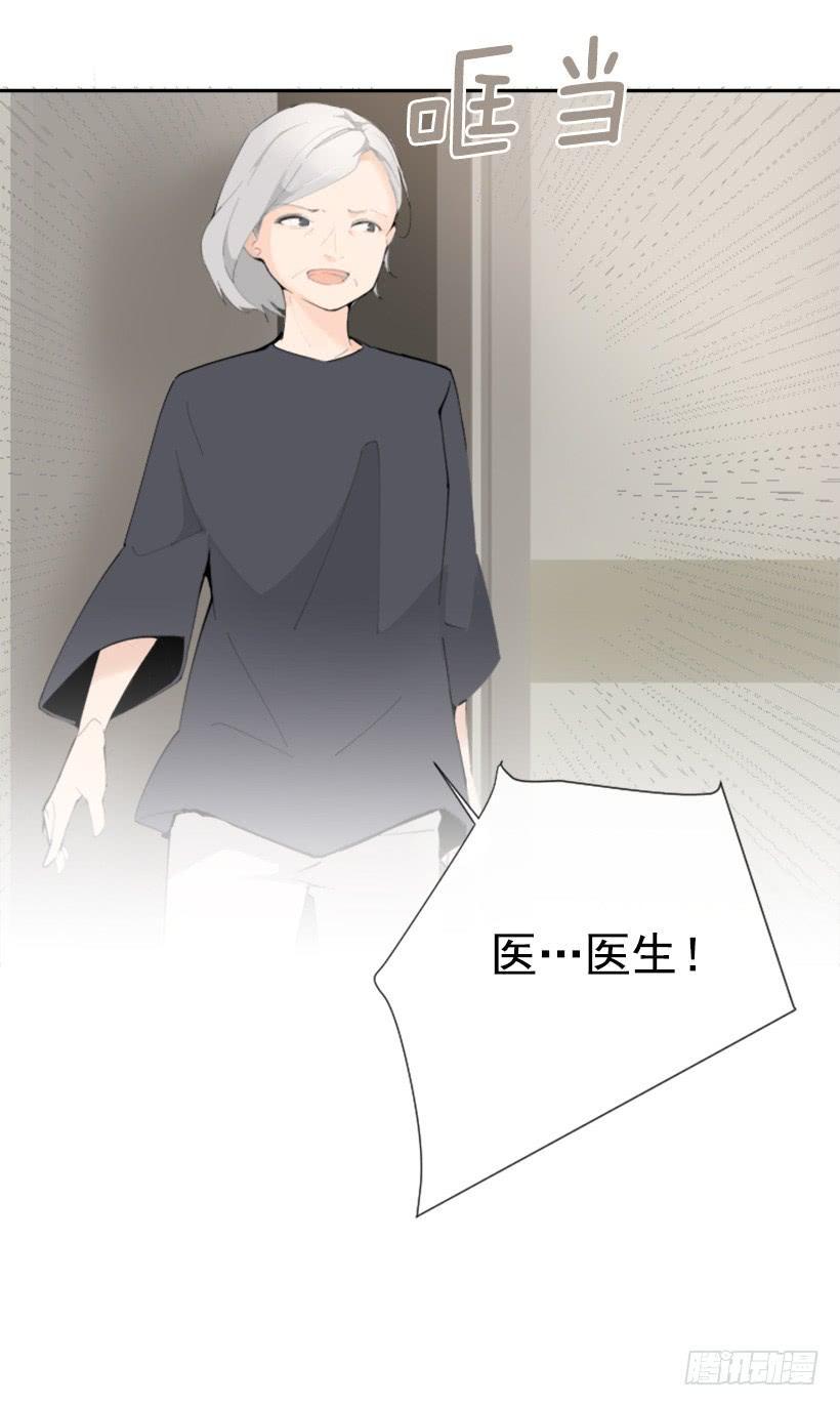 豪车接送37