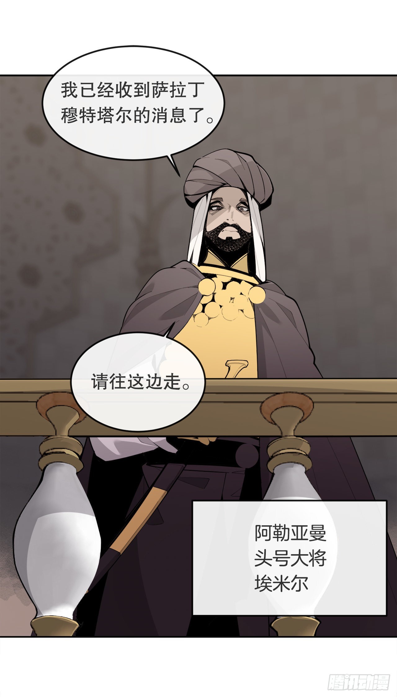 456.南部萨拉丁29