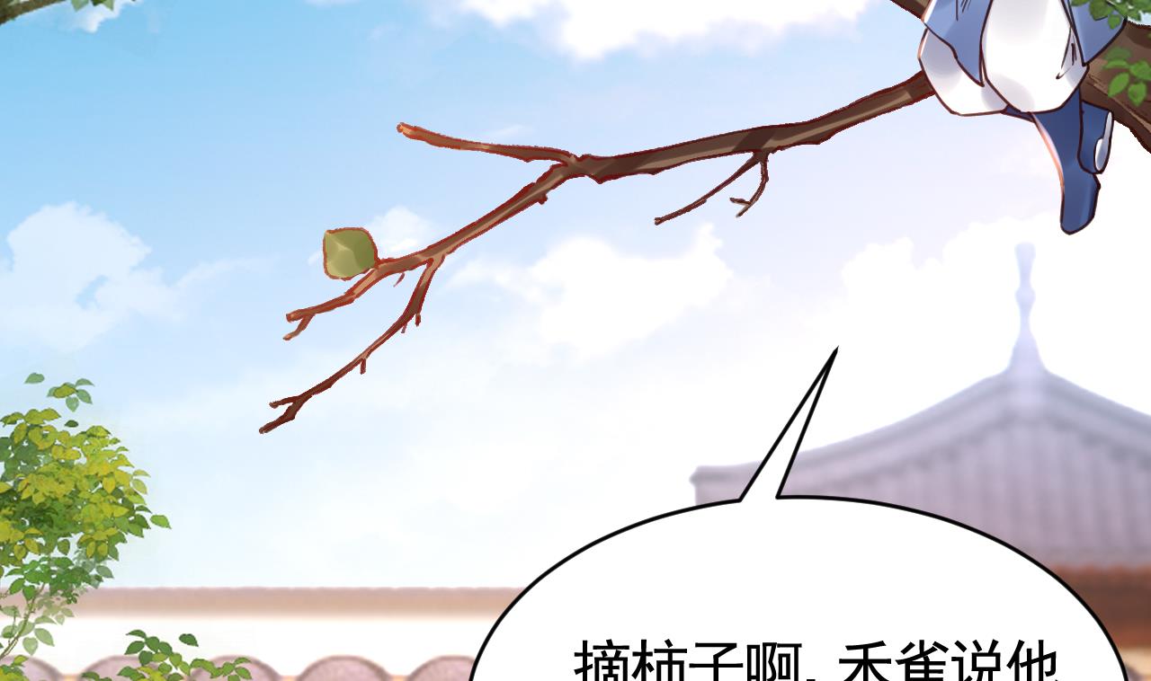 春节特辑246