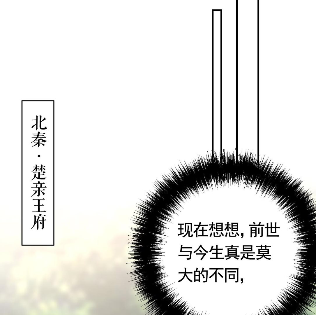 第67话 黑甲军团42