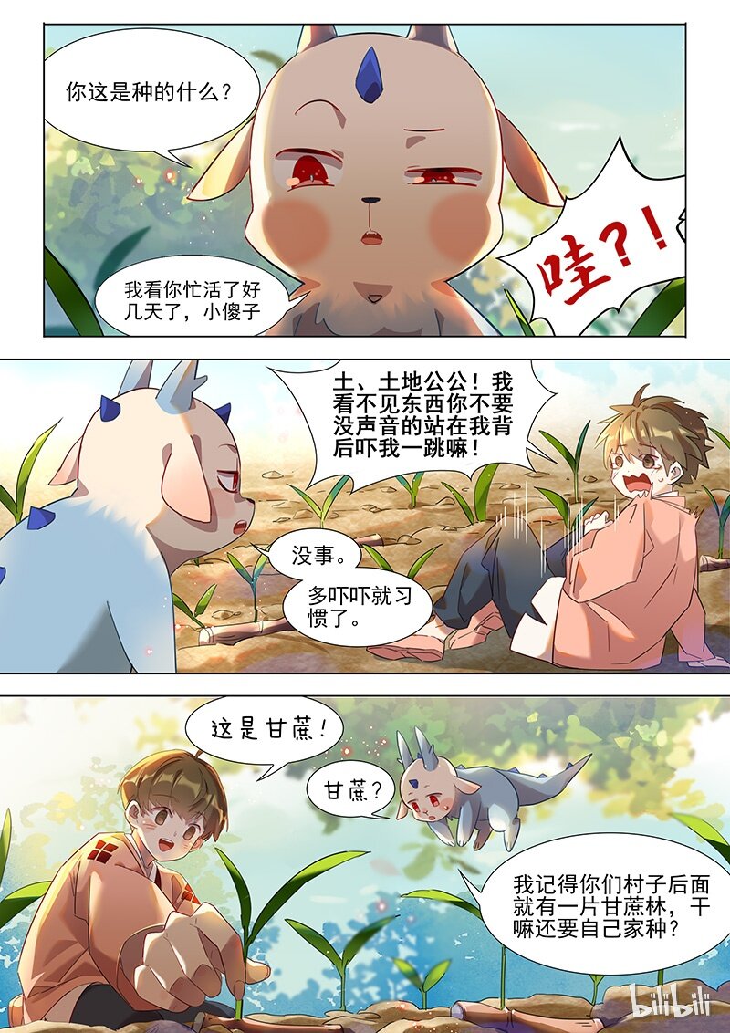 035 甘蔗1