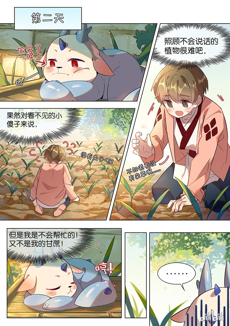 035 甘蔗5