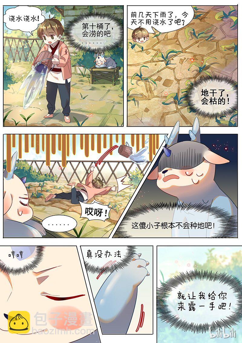 035 甘蔗6